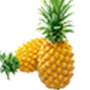 菠萝